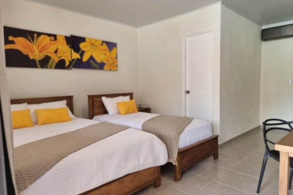 Habitación Deluxe 3